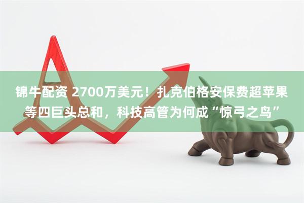 锦牛配资 2700万美元！扎克伯格安保费超苹果等四巨头总和，科技高管为何成“惊弓之鸟”