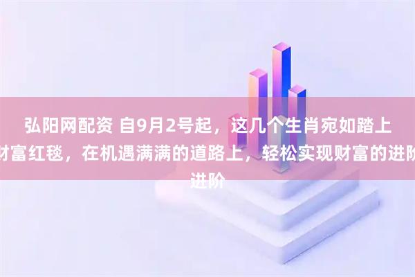 弘阳网配资 自9月2号起，这几个生肖宛如踏上财富红毯，在机遇满满的道路上，轻松实现财富的进阶